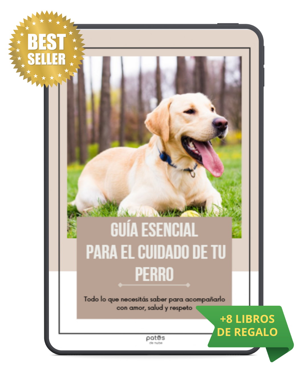 Guía esencial para el cuidado de tu perro + 8 Regalos