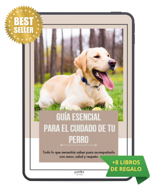 Guía esencial para el cuidado de tu perro + 8 Regalos